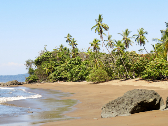 Costa-Rica-Beach-Ocean-Palmtrees-Peninsula-dOsa-BirgitHong